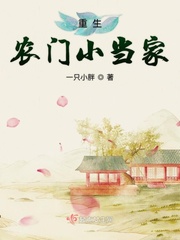 都市小说小说重生农门小当家
