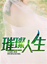 上门龙婿叶辰完整版