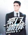弃子小说豪门霸婿