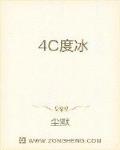 4C度冰
